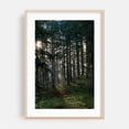 thumbnail image 2 of Untitled - Portland Oregon Photography Forest Nature Woodland Woods Scenic Landscape Mystical Unframed Wall Art Print 12 x 18 inches, 2 of 60