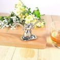 thumbnail image 4 of Tea Strainer, Frog Shape Stainless Steel Loose Leaf Tea Infuser, 4 of 5