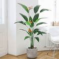 thumbnail image 1 of Bird of Paradise Artificial Plant Perfect for Indoor/Outdoor ,Faux Tree with Stable Planter, 1 of 11