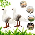 thumbnail image 6 of Kiplyki Fake Seagull Artificial Feather Foam Wedding Family Decor Venue Ornament, 6 of 6