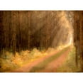 thumbnail image 3 of Allen, Kimberly 24x19 Black Modern Framed Museum Art Print Titled - Road To Enlightenment, 3 of 5