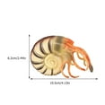 thumbnail image 2 of Modèle d'Animal Marin Simulé Modèle de Nautilus Réaliste Modèle d'Animaux Marins, 2 of 8