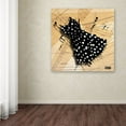 thumbnail image 3 of Trademark Fine Art "White on Black" Canvas Art by Roderick Stevens, 3 of 3