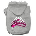 thumbnail image 1 of I'm A Princess Screen Print Pet Hoodies Grey Size Sm (10), 1 of 1