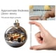 thumbnail image 3 of Rapeiae Natural Wonders Series Christmas Ball Flat Acrylic Pendant, 3 of 5