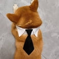 thumbnail image 3 of Collar ajustable para perro con corbata, collares formales para perros y mascotas, 3 of 5