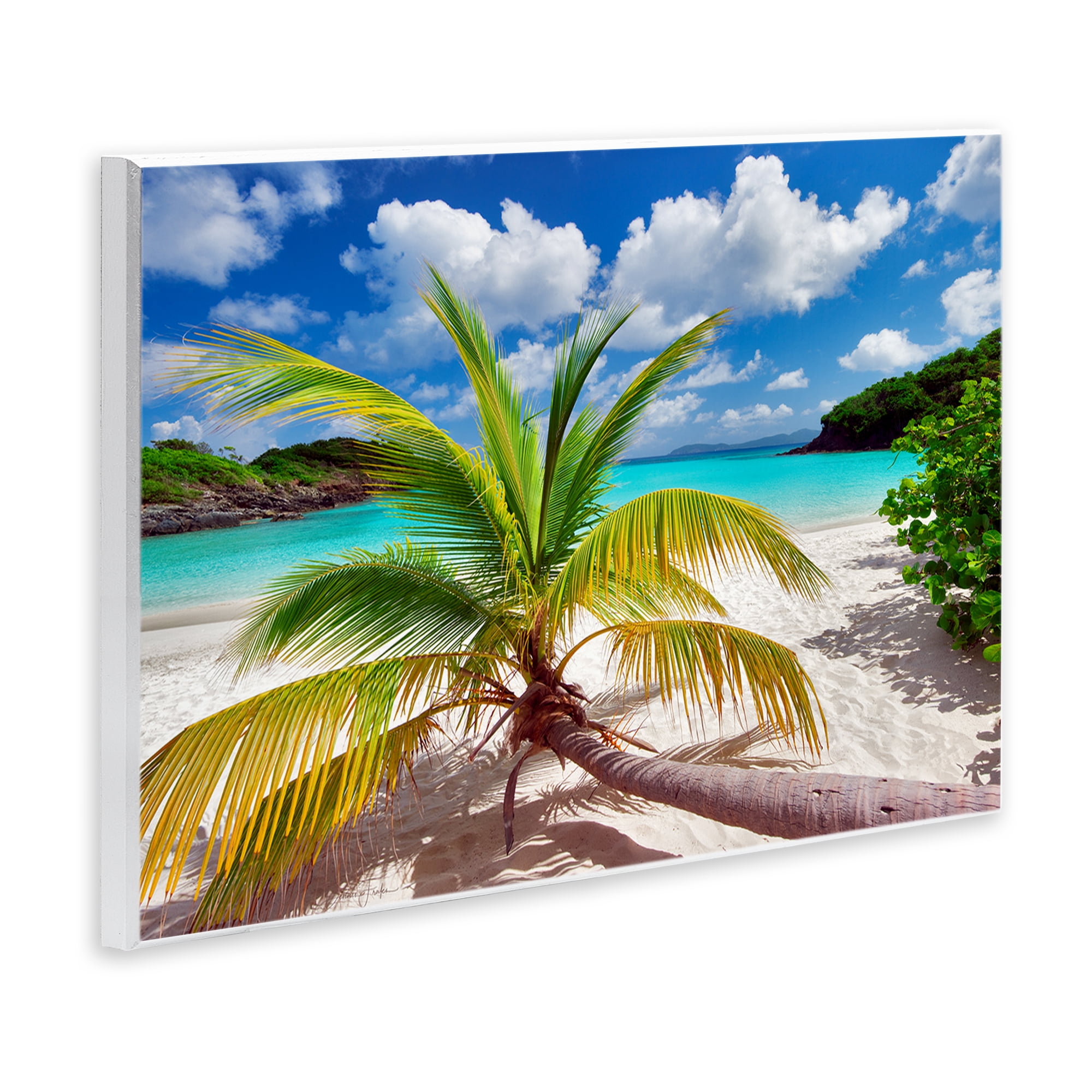 Stupell Industries Palm Tree Across Beach Coastal Photography Unframed Art Print Wall Art, 19 x 13