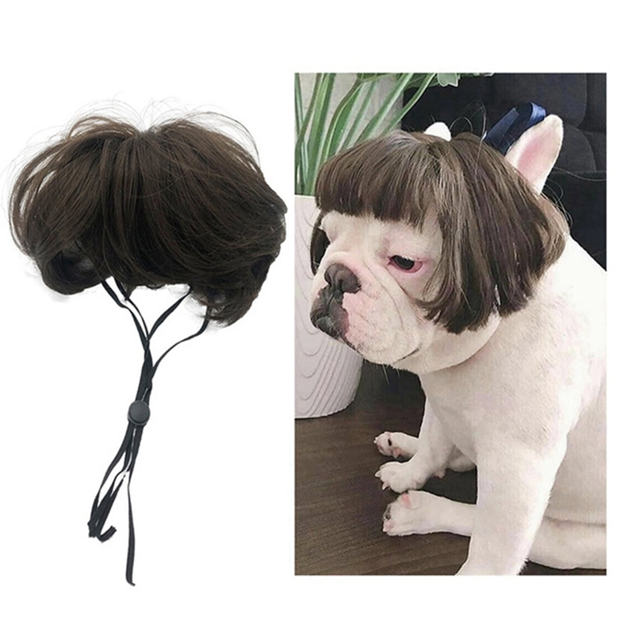Binpure Pet Wig, Short Hair with Bangs Cosplay Costumes Decorative Tool -  Walmart.com