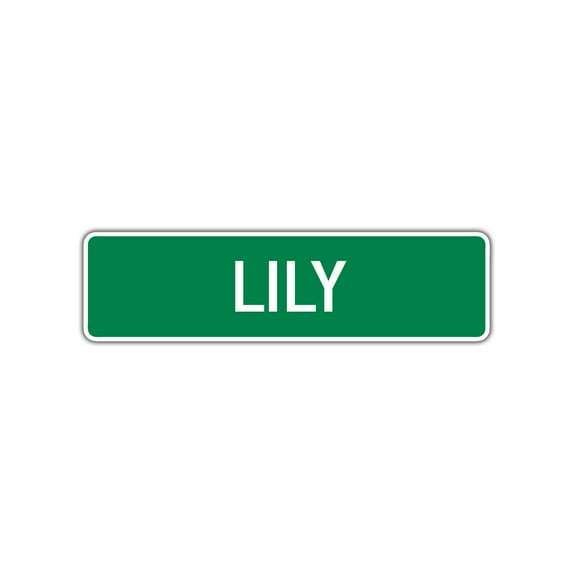 Lily Girls Children Name Indoor Outdoor Unique Letter Printed Label Wall Plaque Decoration Aluminum Metal Sign 4"x18"