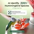 thumbnail image 3 of TT Nature Glass Hummingbird Feeder with Camera, 2K QHD Hummingbird Feeder Camera with Ant Moat, Solar Powered Bird Camera, AI Identify Bird Species, Water Level & Quality Monitor, Ideal Gift, 3 of 10
