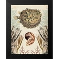 thumbnail image 2 of McCavitt, Naomi 15x18 Black Modern Framed Museum Art Print Titled - Antiquarian Menagerie - Puffer Fish, 2 of 5