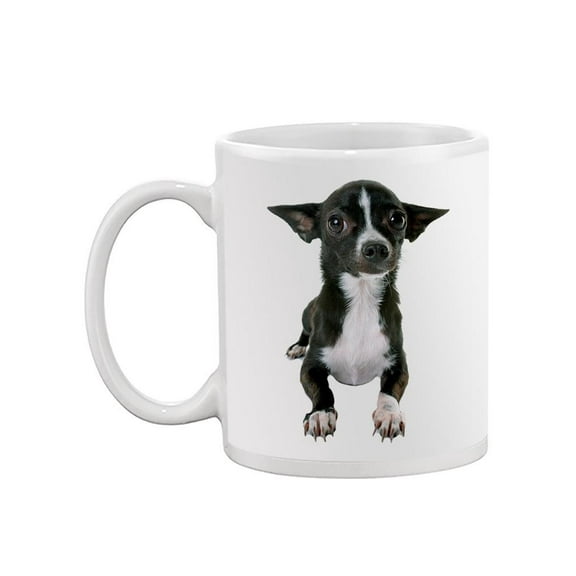 Young Chihuahua Mug - Image by Shutterstock
