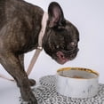 thumbnail image 2 of Dexypaws: Marble Dog Bowl: Gray & Gold Accent - 6.3" Diameter, Stylish & Functional Pet Feeding Dish, Food & Water, Safe & Non-Toxic, Durable, 2 of 7