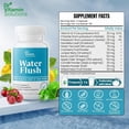 thumbnail image 3 of DR Vitamin Solutions Advanced Water Flush Diuretic Water Pills for Swelling and Bloating Relief, 60 Count, 3 of 8
