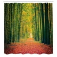 thumbnail image 3 of Ambesonne Fall Shower Curtain, Warm Autumn Dramatic Road, 69"Wx75"L, Green, 3 of 5
