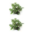 thumbnail image 1 of Decoraciones para Peceras sweethay Plantas de Agua de Plástico Decoración Subacuática CBP068685, 1 of 5