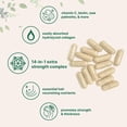 thumbnail image 2 of Micro Ingredients Hair Growth Vitamins for Women & Men, 240 Capsules | 14-in-1 Formula with Biotin, Collagen, Keratin, Saw Palmetto & More | Thicker, Fuller, Nourishes Thinning & Loss Hair Support, 2 of 7