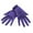Purple, variant on Ashirexll Winter Gloves Women, Warm Gloves, Women Winter Velvet Thickened Gloves for Outdoor Windproof Cold Proof