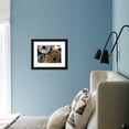thumbnail image 5 of Mushroom Spores Close-Up, Botanical Framed Art Print Wall Art, 5 of 5