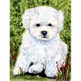thumbnail image 1 of Carolines Treasures SS8913CHF 28 x 40 In. Bichon Frise Flag Canvas, House Size, 1 of 1