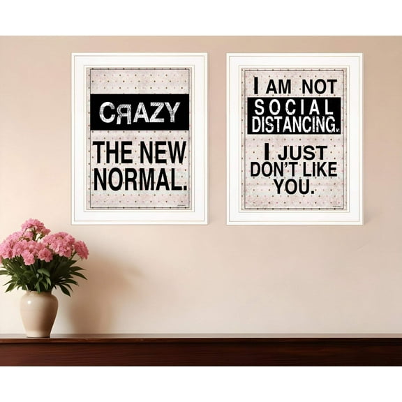 HomeRoots 408176 The Normal White Framed Print Wall Art - Set of 2