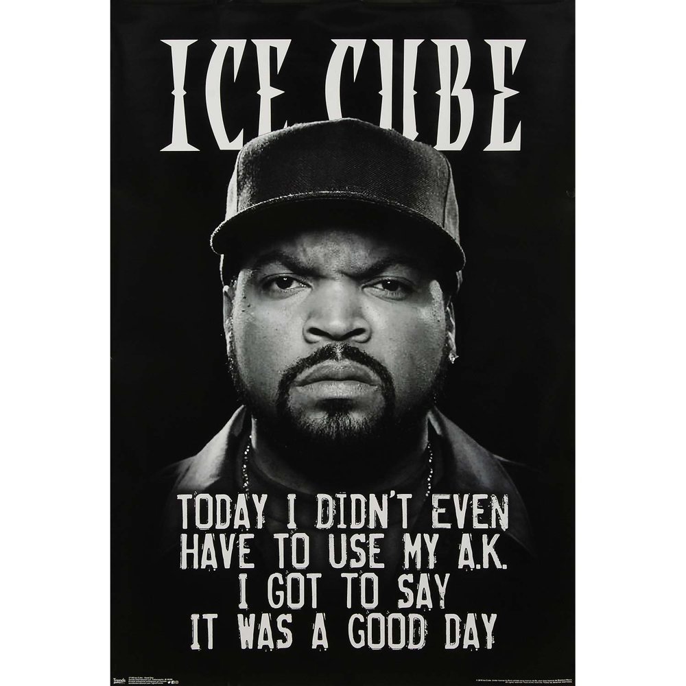 Ice Cube Domestic Poster
