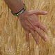 thumbnail image 2 of Pulseras de silicona para hombres y mujeres | Pulseras de goma con versos inspiradores | Pulseras motivadoras de gel suave y coloridas, 2 of 6