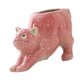 thumbnail image 5 of Maceta con estatua de gato Shamjiam 17 cm x 10,2 cm x 10,5 cm, 5 of 8
