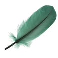 thumbnail image 4 of Plumas de bricolaje Colcomx para manualidades 50 piezas verde, 4 of 4