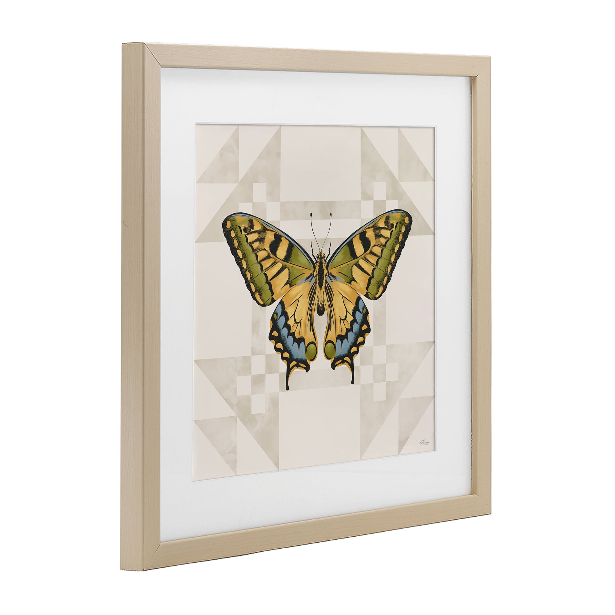 Stupell Industries Green Swallowtail Butterfly Birch Framed Print Under Glass, design by Cat Thurman Designs