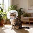 thumbnail image 4 of pangttian Soft e Collar for Small Dogs & Cats, After Surgery Recovery Cone to Stop Licking, 4 of 5