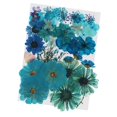 thumbnail image 1 of Pétales de Fleurs Séchées Multiples Colorées pour Bricolage Bleu, 1 of 8