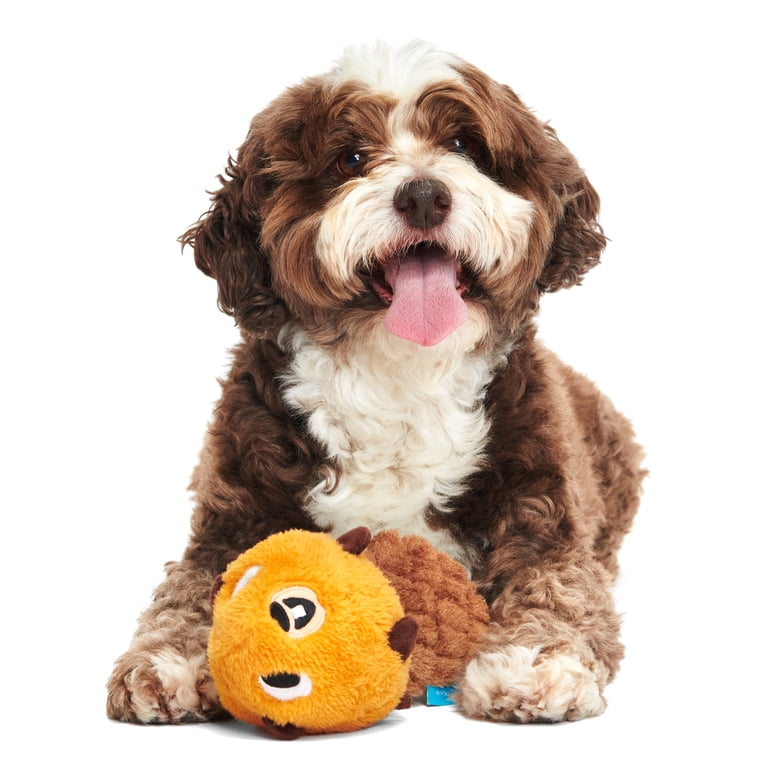 BARK Dam Daniel Beaver Dog Toy, Squeaky Crinkle photo 5