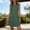 *Army Green, variant on U Women's Sleeveless V Neck Shirt Dress ,Casual Slim Fit Summer Midi Dress Blue^,Womens Plus L