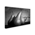 thumbnail image 2 of Trademark Fine Art "Cayendo" Canvas Art by Moises Levy, 2 of 3