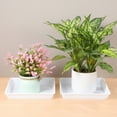 thumbnail image 3 of LULULION 2Pcs White Plant Water Tray with Raised Edge for Indoor and Garden Use, 3 of 4