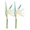 thumbnail image 1 of OUSITAID 2Pcs Artificial Flower Vivid Realistic Beautiful Decorative Real Touch Paradies Bird Faux Flower for Office, 1 of 8