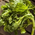thumbnail image 2 of Purely Organic Spring Rapini Broccoli Raab Seeds - USDA Organic, Non-GMO, Open Pollinated, Heirloom, USA Origin, Vegetable Seeds - 3 Grams, 2 of 5