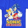 thumbnail image 2 of Sonic the Hedgehog Modern Characters With Logo Youth Boy's Royal Blue T-Shirt-Medium, 2 of 4