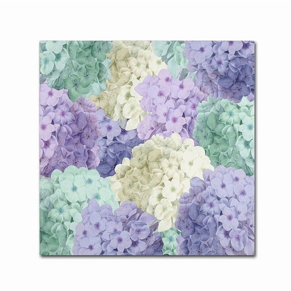 Trademark Fine Art "Hortensia Groundless Cool Tones" Canvas Art by Color Bakery