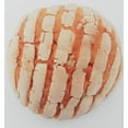 thumbnail image 5 of Conchas  (Pack Of 3), 5 of 7