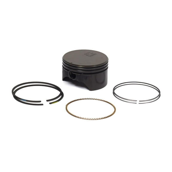 Briggs and Stratton Piston Assembly