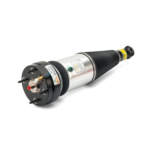 Arnott New Rear Air Strut AS-2889