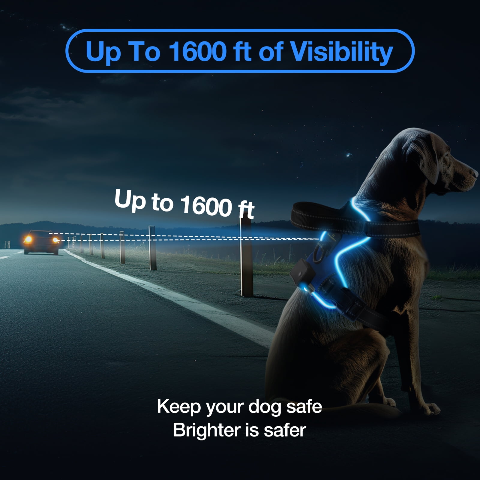 MASBRILL Light Up Dog Harness - No Pull Led Dog Harness Rechargeable Lighted Dog Harness for Night Walking Adjustable Glow Vest for Small Medium Large Dogs