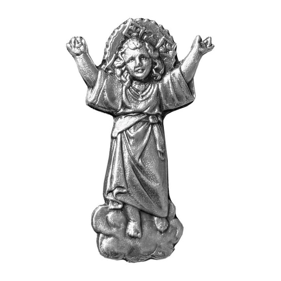 Silver accent catholics lapel pins