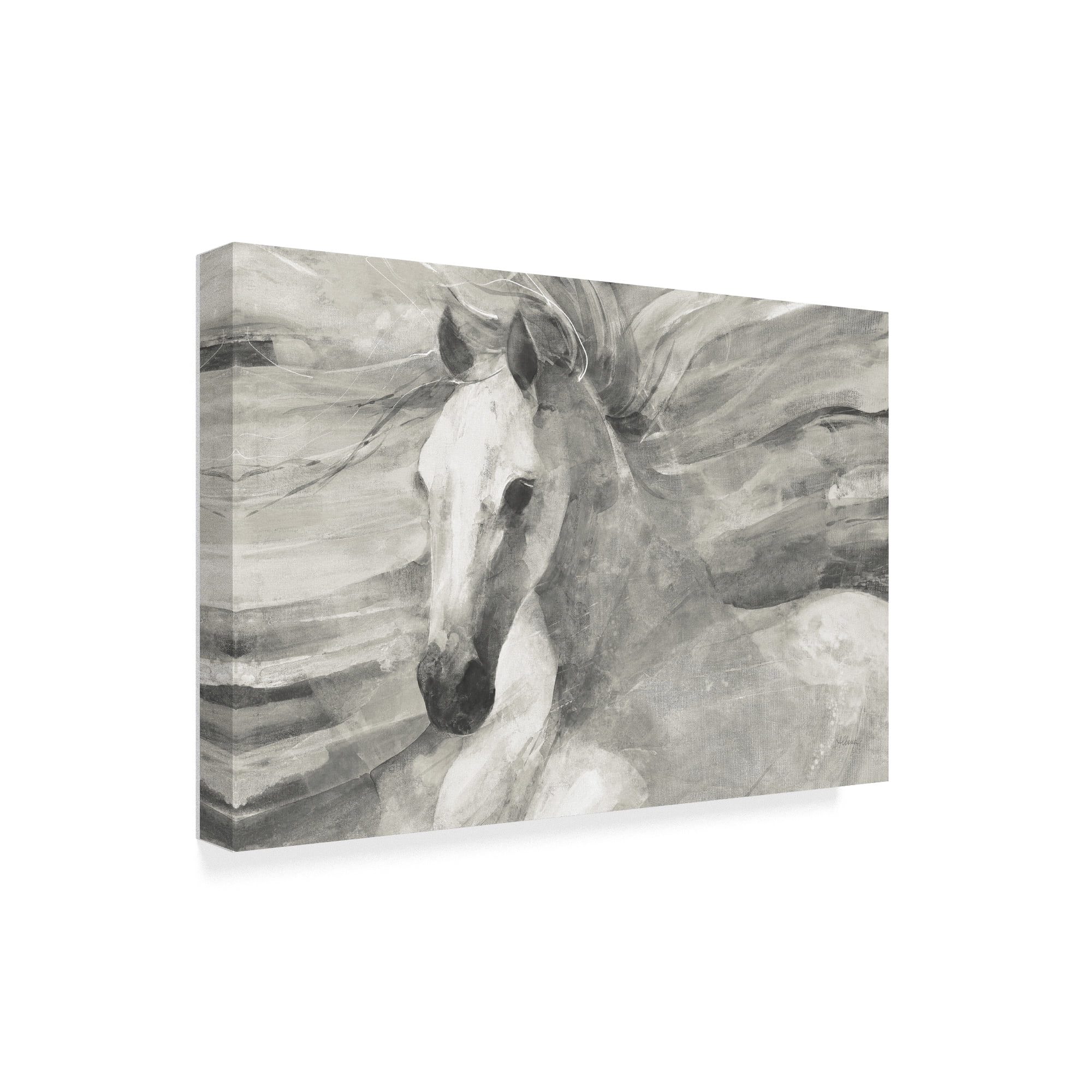 Trademark Fine Art 'Poseidon Neutral Crop' Canvas Art by Albena Hristova