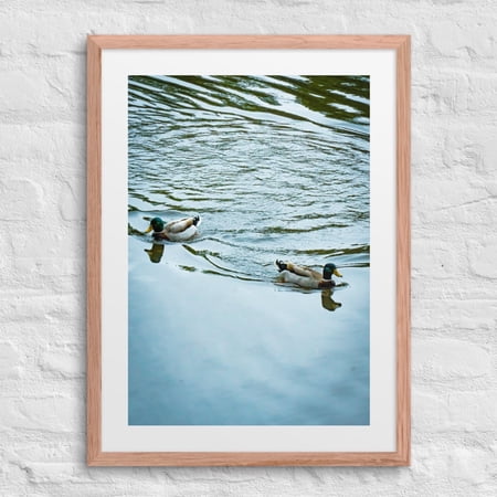 On Calm Waters — Wildlife Nature Art Framed Poster (Red Oak 18″×24″)