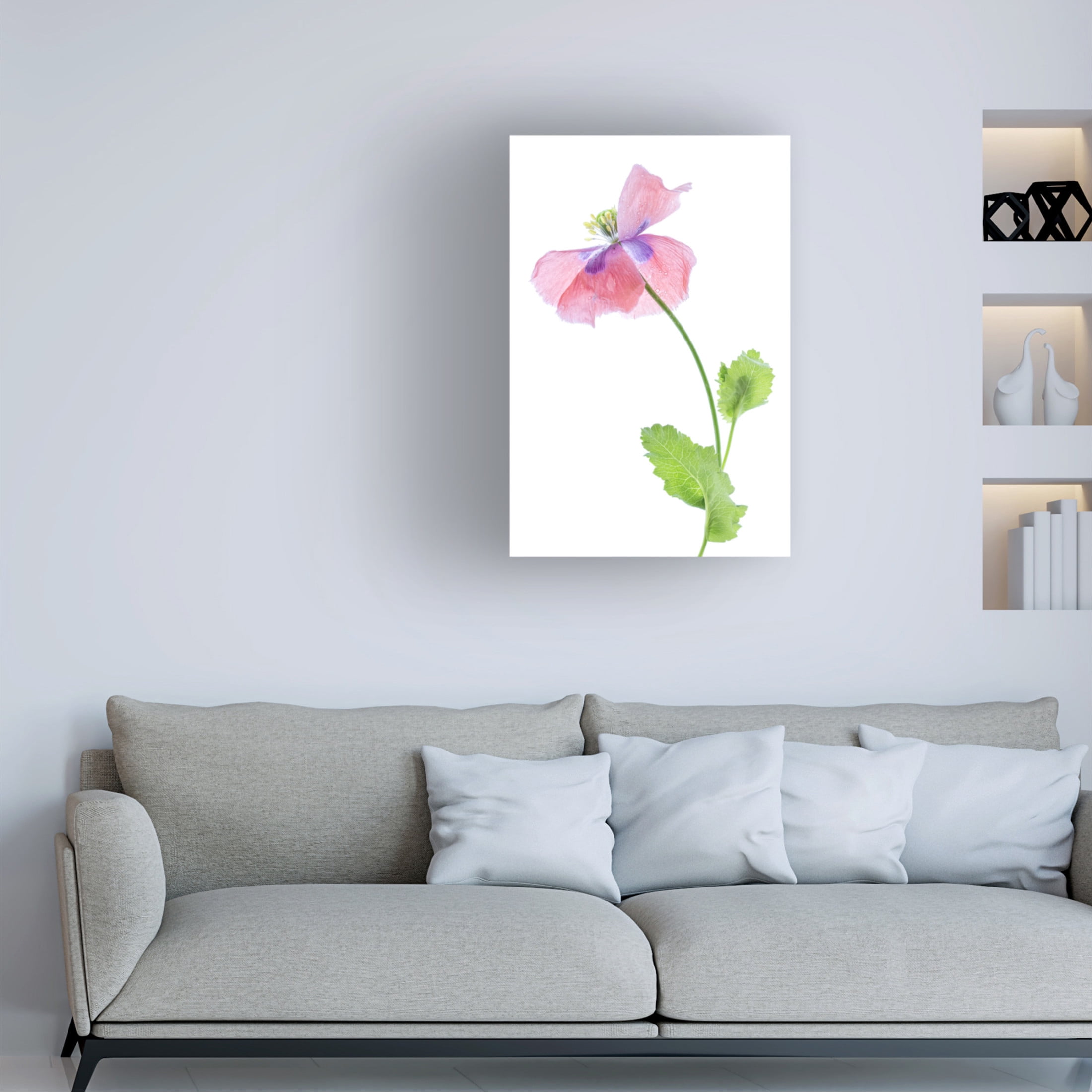Canvas Wall Art - Mandy Disher 'Poppy' Wall Art for Living Room, Bedroom, or Office D?cor by Trademark Fine Art - 22 x 32 Inches