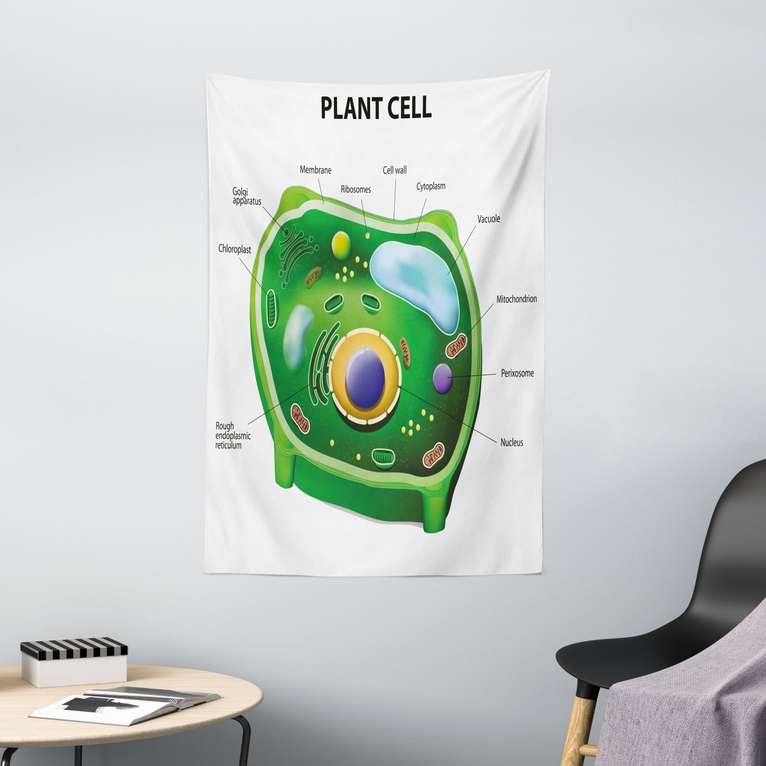 Educational Tapestry, Plant Cell Biology Research Botany Anatomy