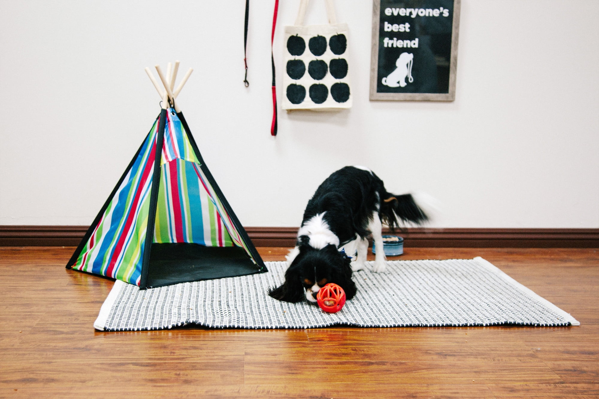 Pacific Play Tents Cozy Pet Teepee Dog Tent House Small Wood Green Yellow All Lifestages